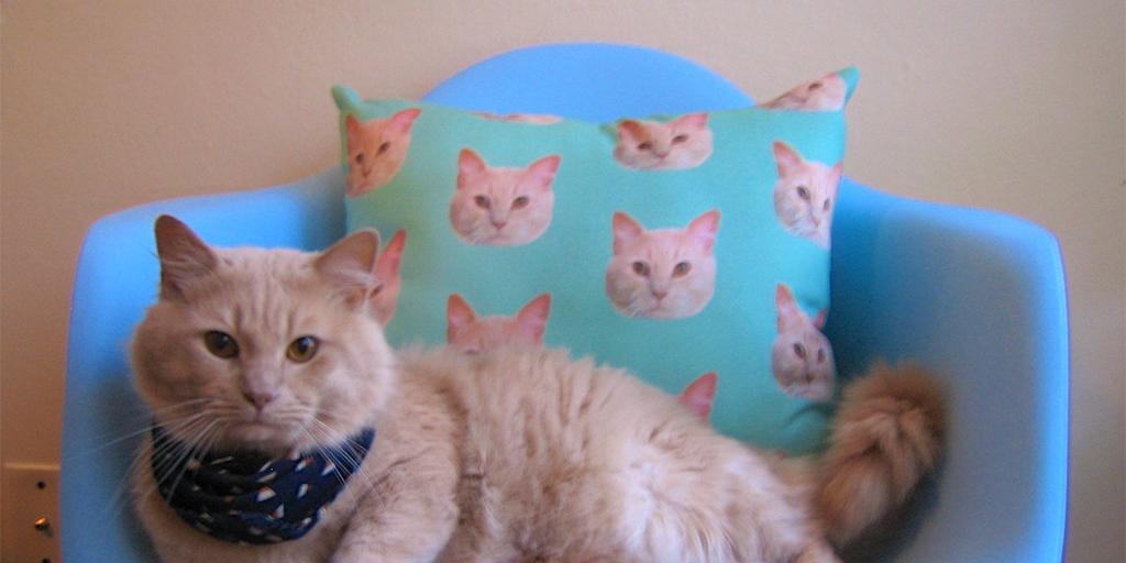 Embedded image permalink