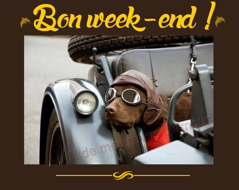 PascaleDeldal's tweet image. @fyofyolinette bon #weekend ma Linette ! Gros bisous 😘😉