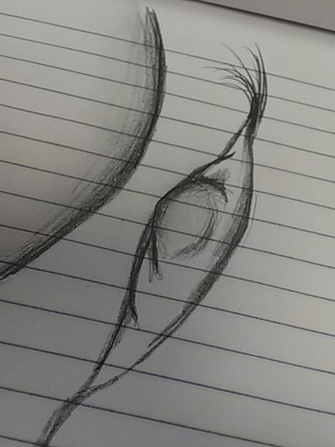 BrainPopASMR's tweet photo. DayQuil times... http://t.co/UtwuvHVYaD