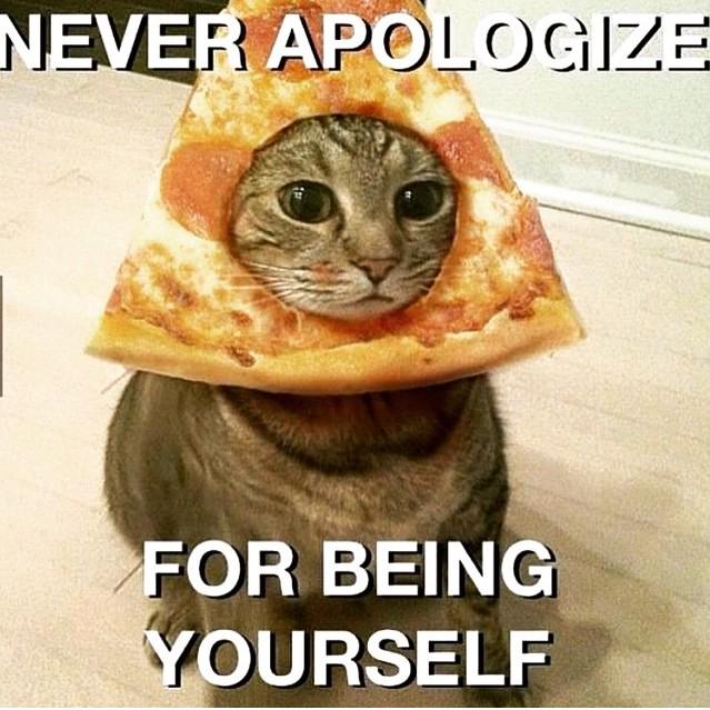 Mariahlewin's tweet photo. 😸 http://t.co/47e6eWPt9z