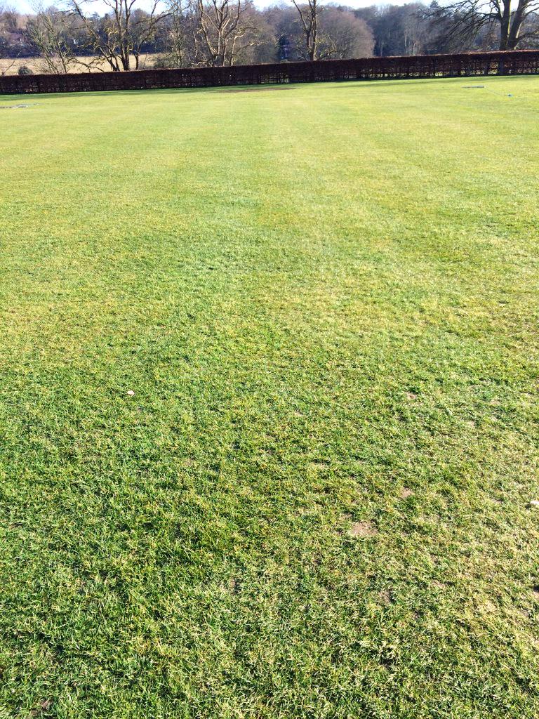 SimonGisby's tweet photo. Cricket square first PSR 2hours and a light brush... #grounds http://t.co/8c77mECk0Q