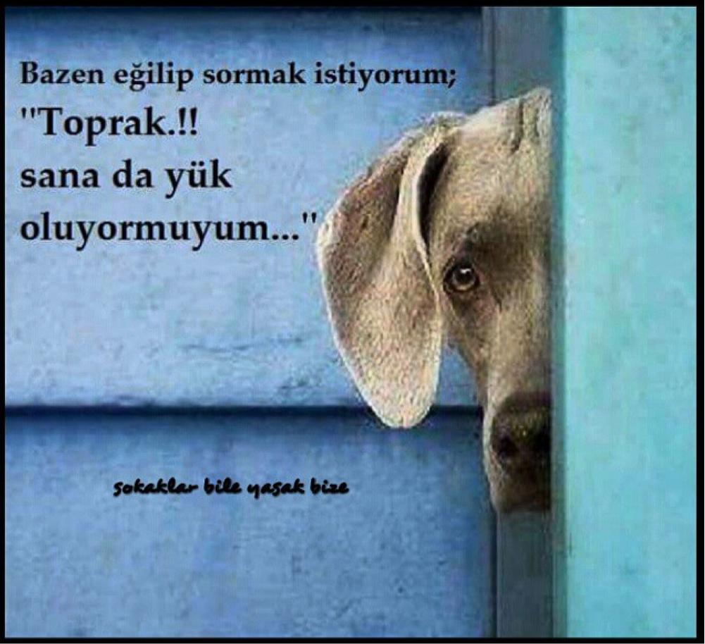 Sana da yük oluyor muyum?