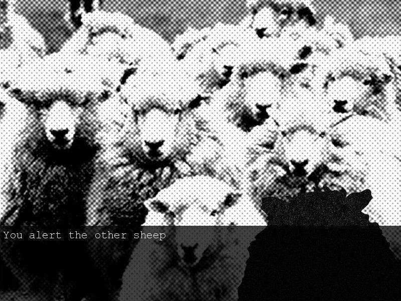 You alert the other sheep