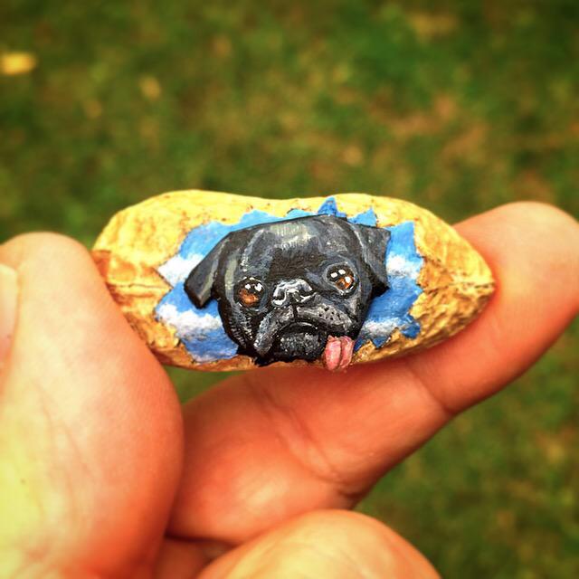 SteveCasino1's tweet photo. It's a #pug! It's a #nut! It's #PugNut! http://t.co/IQkcKIDSl5