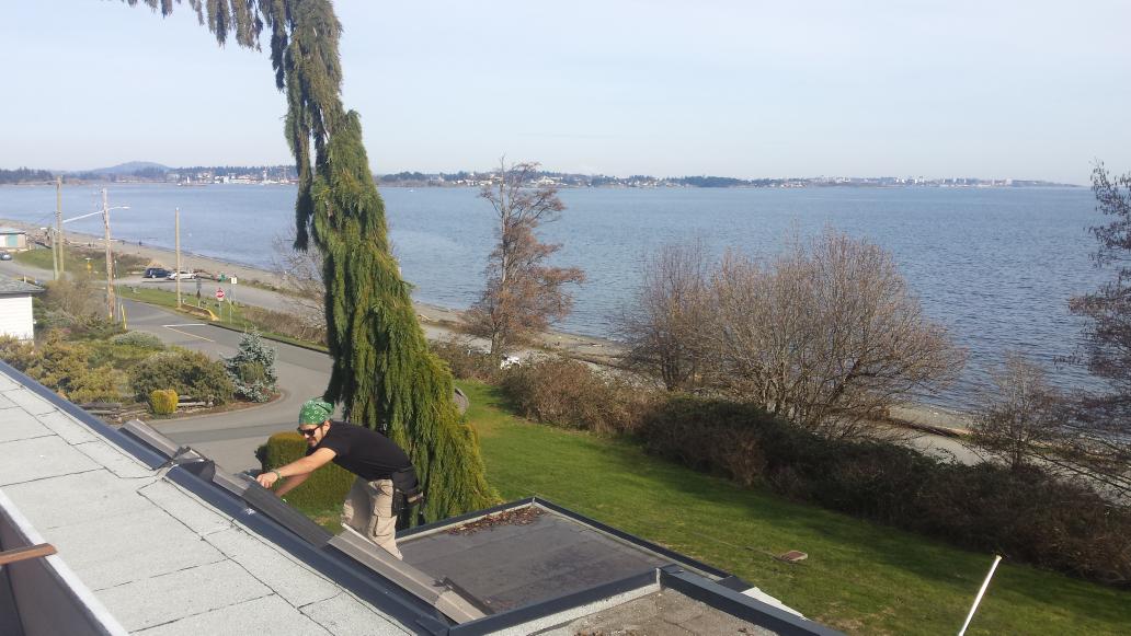 GC_Window_Clean's tweet image. #TGIF #YYJ