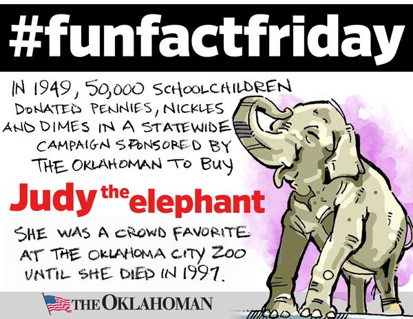 #funfactfriday Here's a fun fact about Oklahoma City's own elephant celebrity. <a href="/okczoo/">Oklahoma City Zoo and Botanical Garden</a>