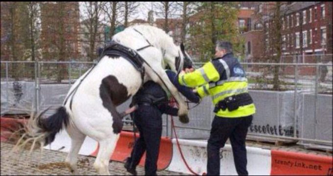 Fucc the police gone to the next level http://t.co/AAH4q53oHa<a href="/tag/tbt"class="tags"><span>#tbt</span></a><a href="/tag/sneakerhead"class="tags"><span>#sneakerhead</span></a>