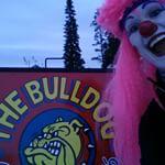 skiwithsparkles's tweet photo. Friday Night skiing @SilverStarMR  Vernon, snacking at the Bulldog! Great food, fun staff, wonderful place! #ski http://t.co/BL4G8Vb2Dg