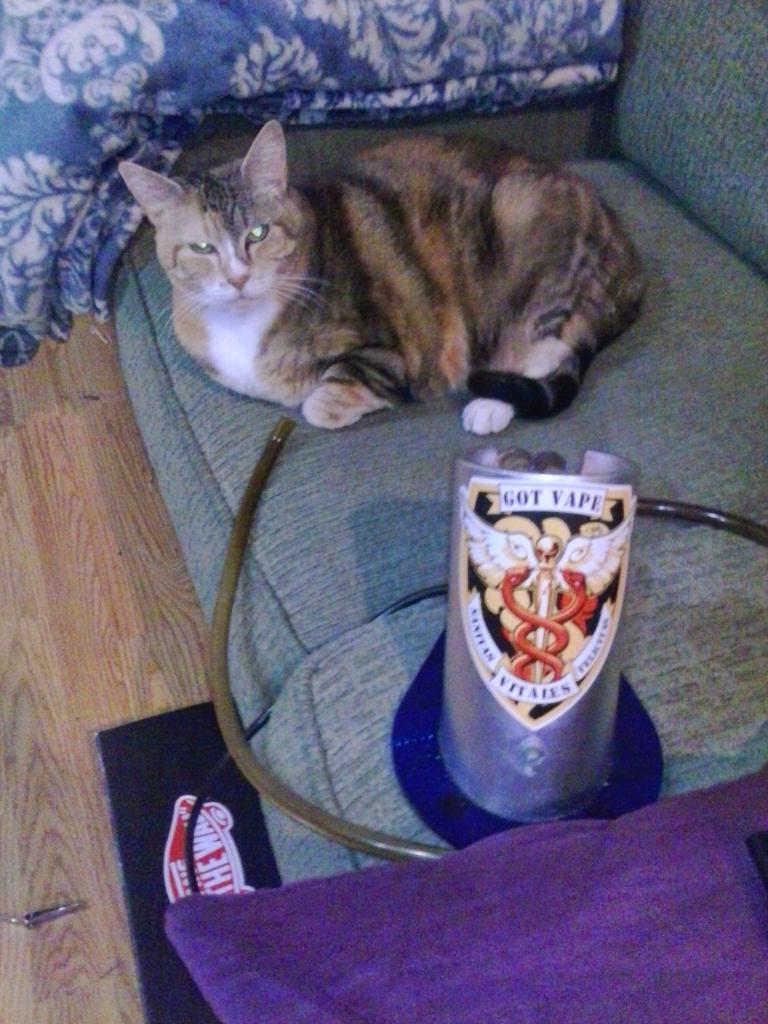 in the sky (@burdz) on Twitter photo 