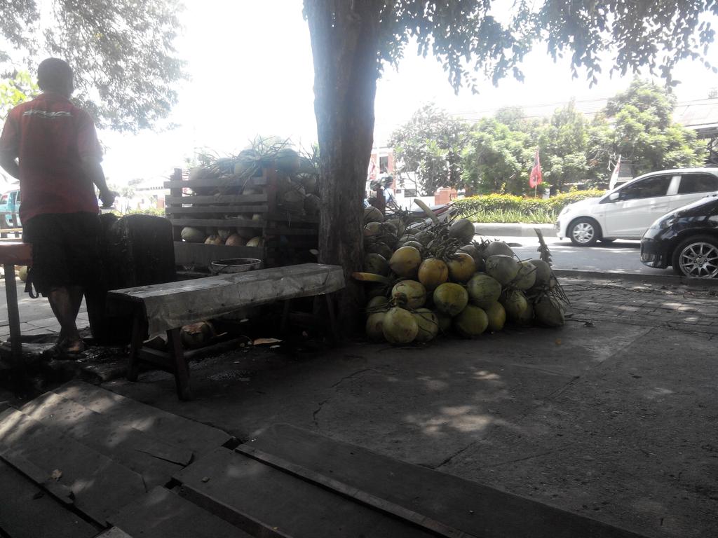 Menu kelapa hijau, rasanya pas utk jalur hijau. Teduh dibawah rindangnya pohon jalur dua.