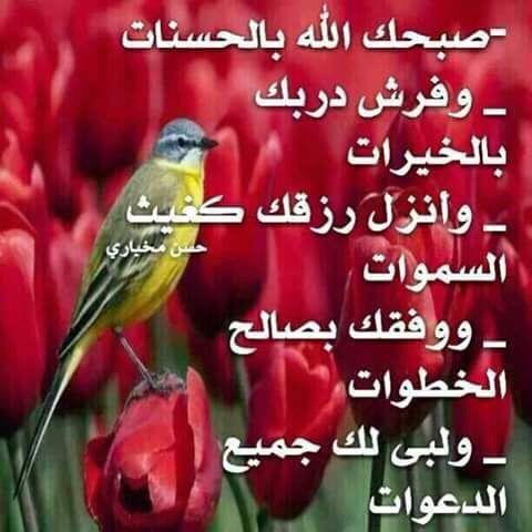 loooov_'s tweet photo. http://t.co/dlEVxKKE8o