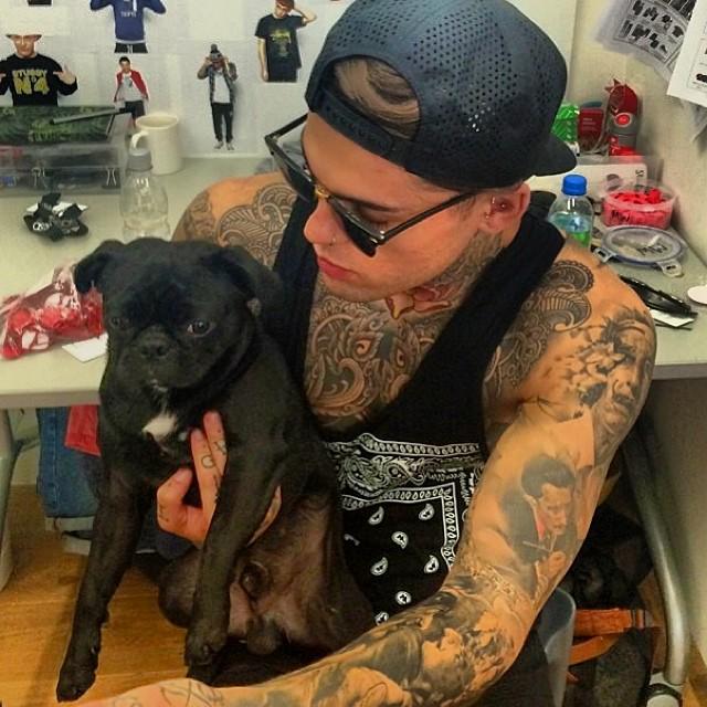 RothwellRoman's tweet photo. ¡Chief~!
El perrito de Roman hace su entrada al TL. http://t.co/I4kdUe9J9k