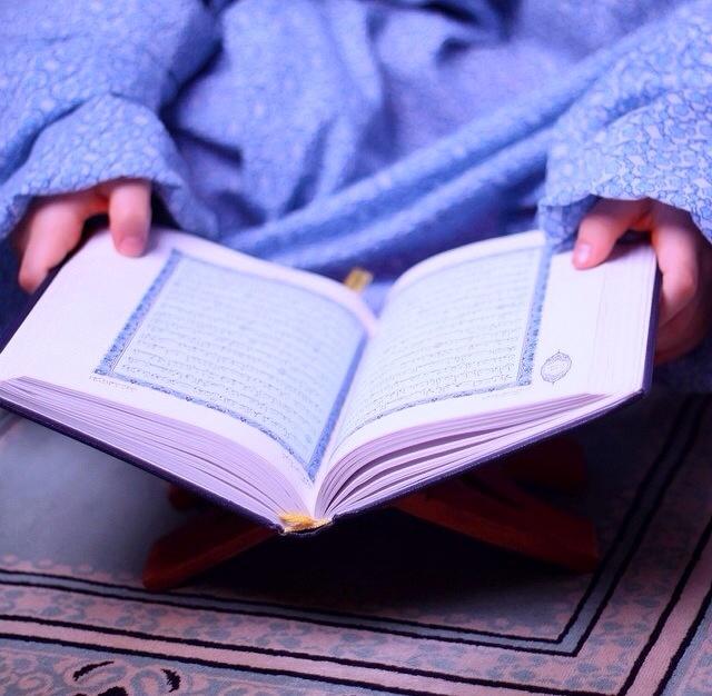 a9m00's tweet image. 💡
حتى لا تهجر القران؛
جهز القران مع سجادة بجانب بعضهما
وبعد كل صلاة اقرأ ماتيسر منه،
بهذه الحالة لن تهجره 💜
#أترك_أثر