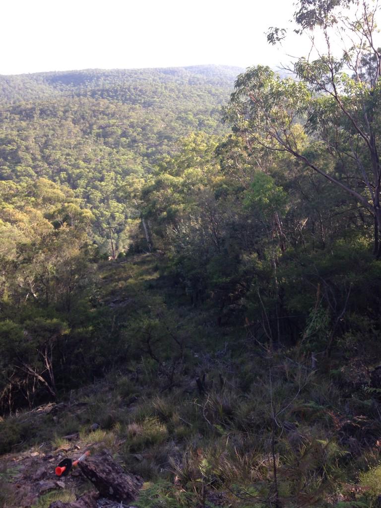 ShaBlair's tweet photo. Today's trail run http://t.co/0g37faVgOC