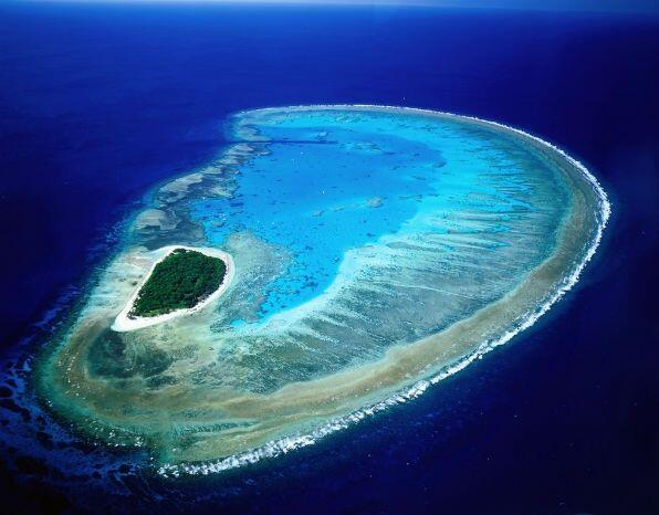 HayQueSaberlo's tweet photo. Te presentamos la Isla Lady Musgrave, en la Gran Barrera de Coral (Australia). http://t.co/Gd2XUJ3Sah