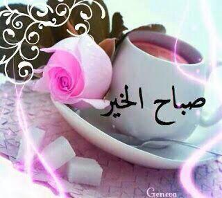 Hzziin tweet picture