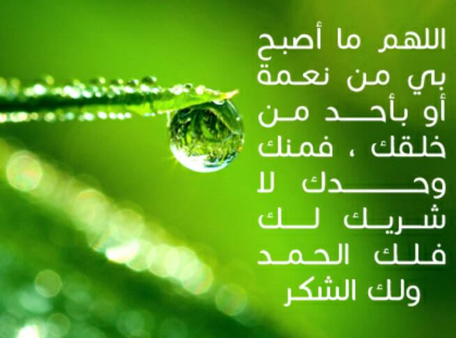 mi_700 tweet picture