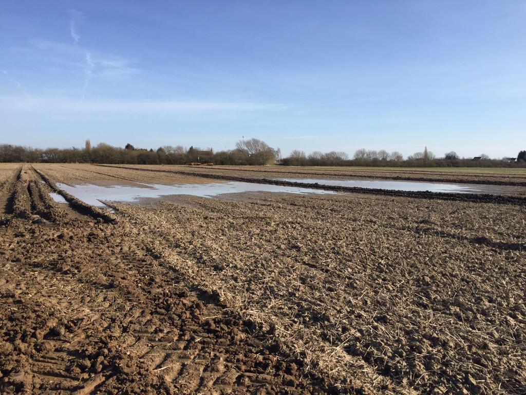 dmjdrainage's tweet image. New drainage being installed in this field will eliminate these constant wet areas.  #improveyield #landdrainage