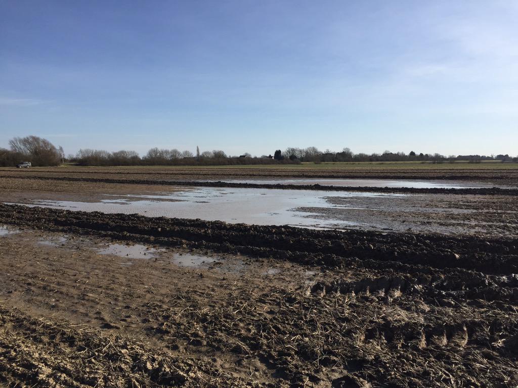 dmjdrainage's tweet image. New drainage being installed in this field will eliminate these constant wet areas.  #improveyield #landdrainage