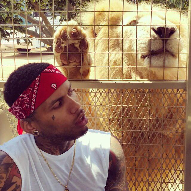 candiceverster's tweet photo. ♥ ♥ @Kid_Ink  ♥ ♥ @SHOWtibzLOVE  
7 March, Mary Fitzgerald Square http://t.co/E86eJnEX6h