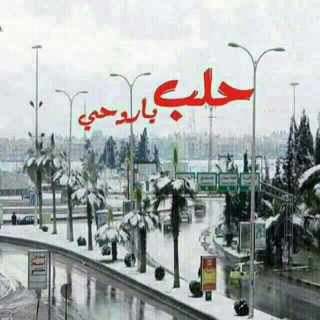zidan alabdallah tweet media