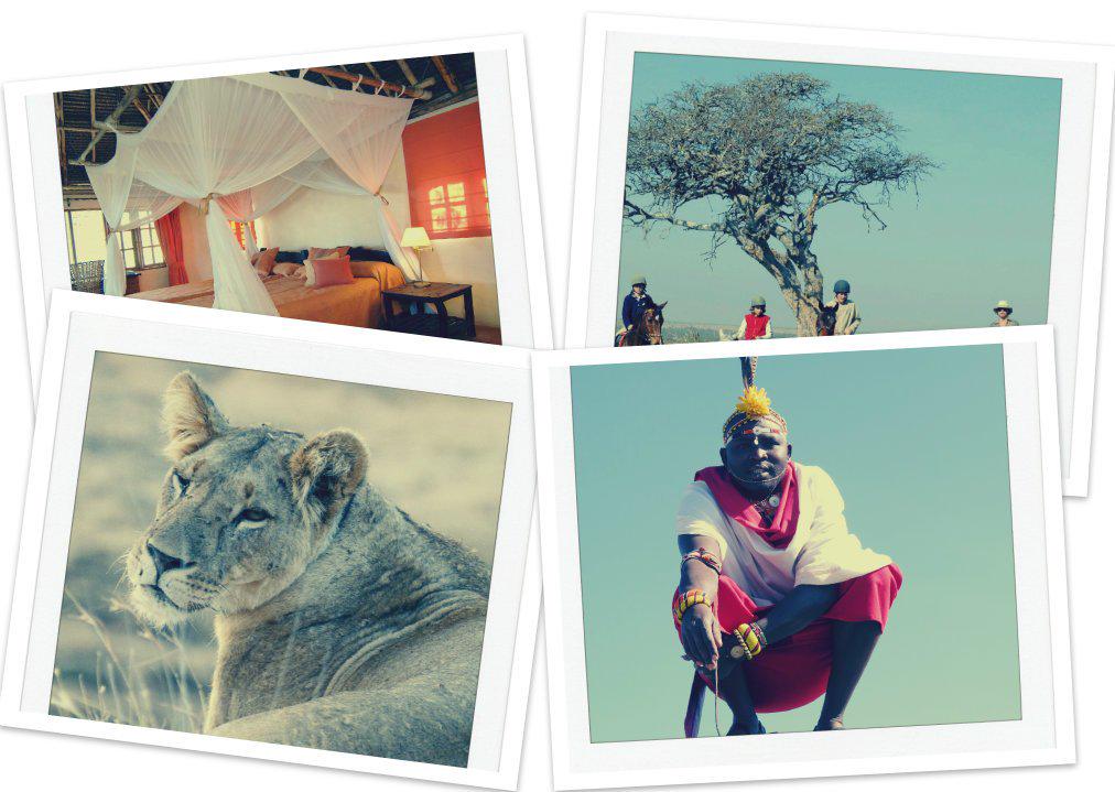 Loisaba Conservancy tweet media