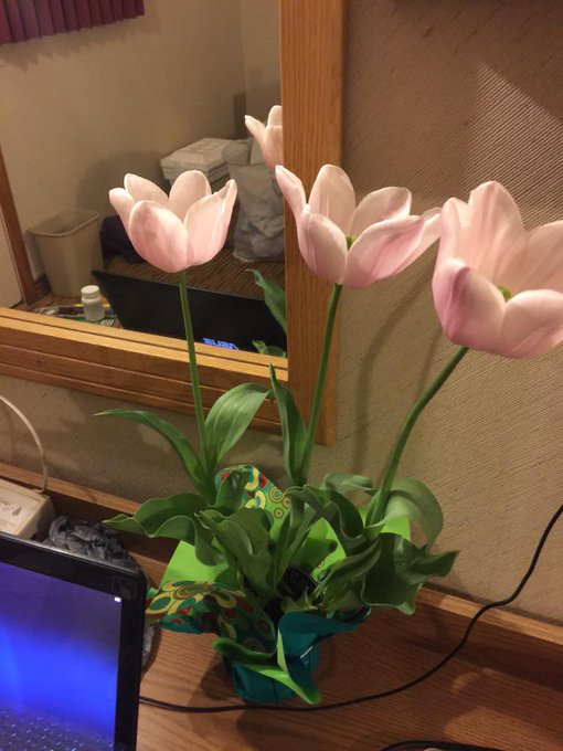 Wow flowers :) what a pleasant surprise from @khunterxxx I've never had someone treat me so well <3 #bestboyfriend