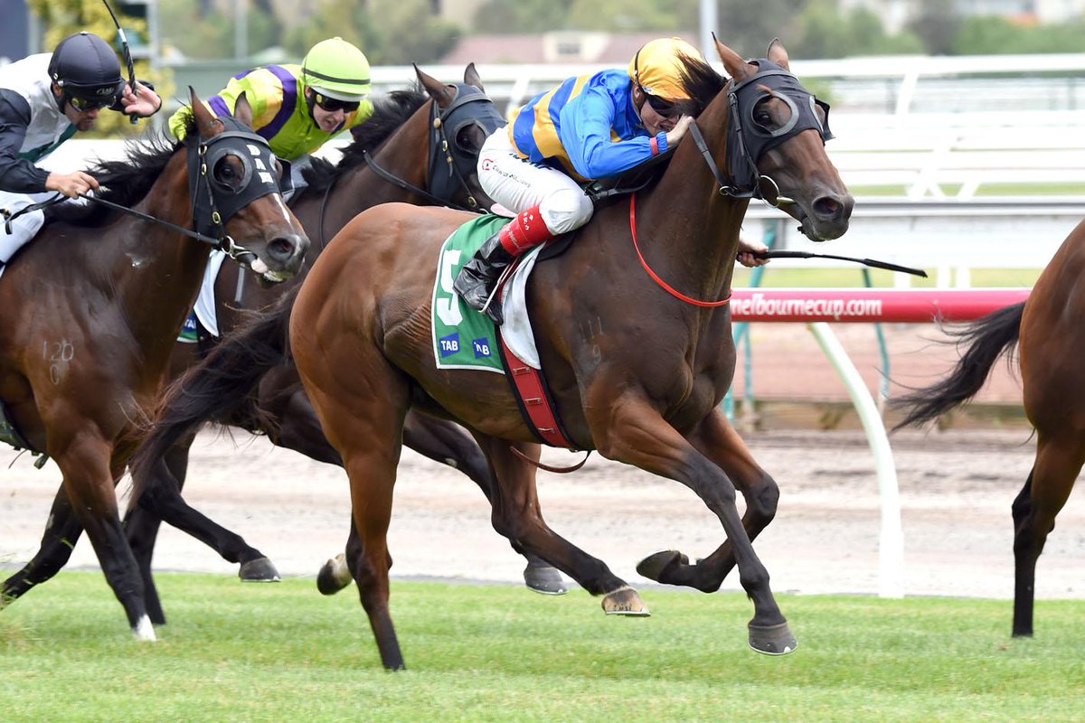 FlemingtonVRC's tweet photo. NEWS: Ex-pat Alexander registers Flemington win. http://t.co/C8alribJBr http://t.co/0TPx0VIIvQ