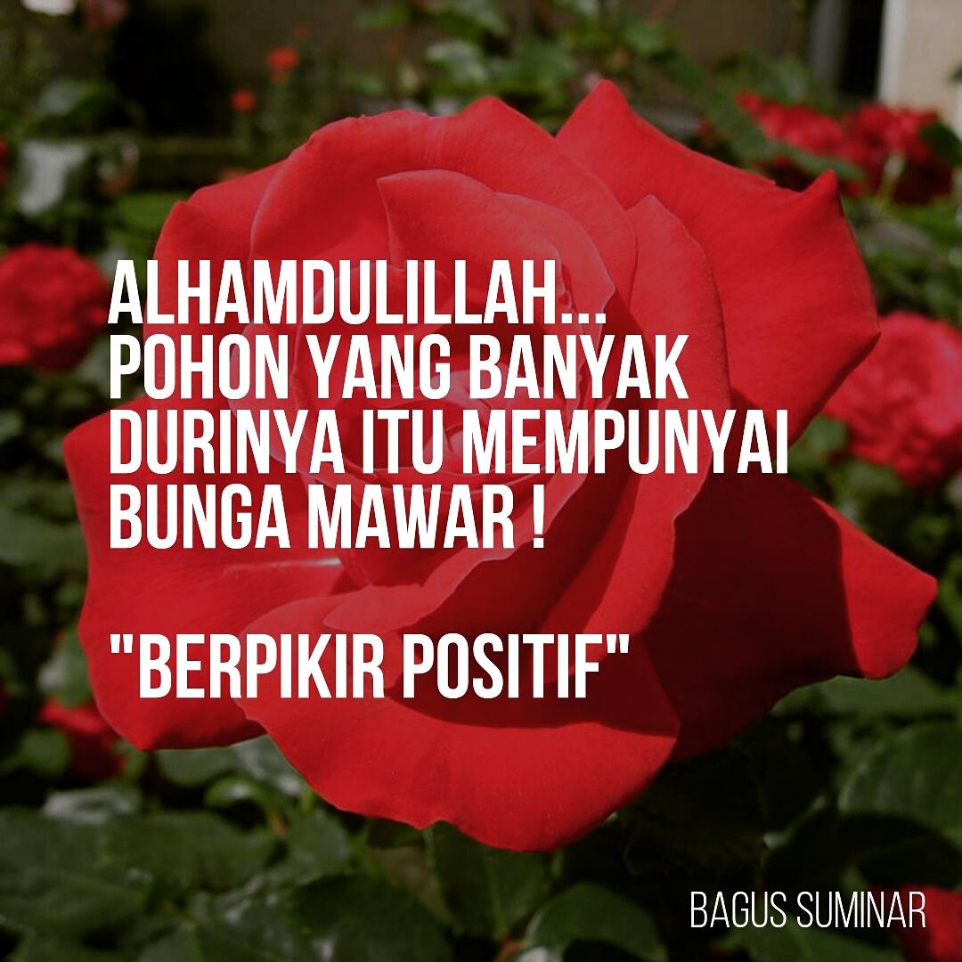 Bagussuminar Twitterissa Berpikir Positif Quotes Motivasi