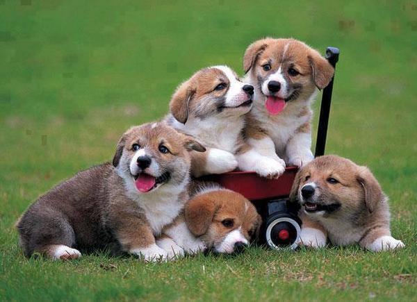 lewis_ranch's tweet photo. RT "@MarionSpekker: @Stefanodoc1972 Thank you :-)) http://t.co/h0ktGLkjfy"