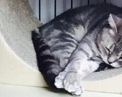 for @scnsuclity from michael