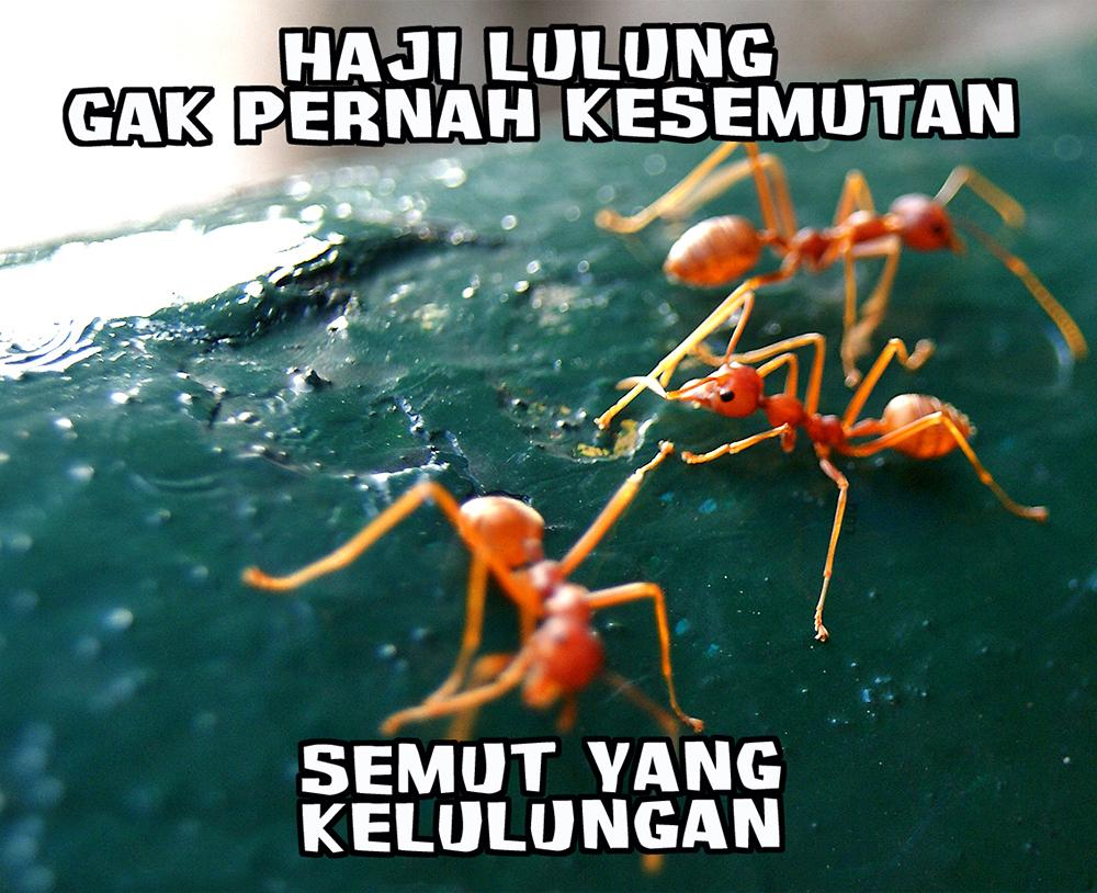 Luqbaehaqi's tweet photo. sekedar visualisasi permemean #SaveHajiLulung http://t.co/5ajccYPdCV