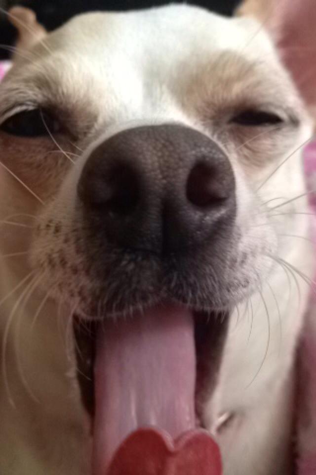 Breyyo's tweet image. Hello!