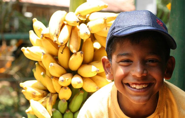 applestart's tweet image. Фрукты Индии и #ГОА с фото и названиями wayempire.com/fruktyi-indii-…