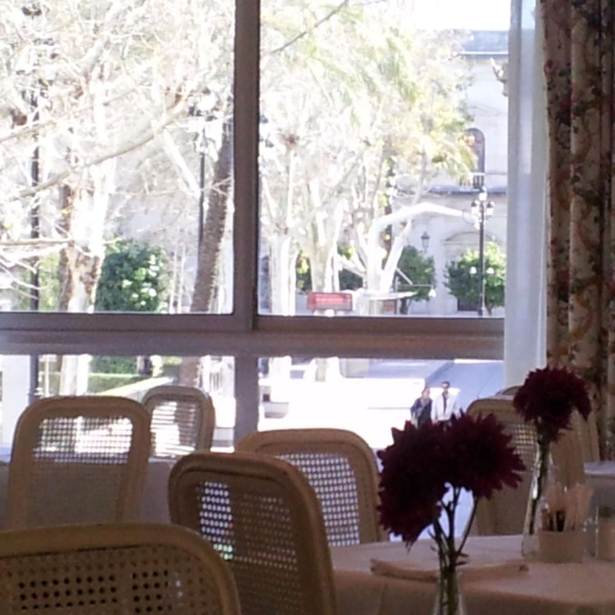 Y así luce Sevilla. Hermosa.