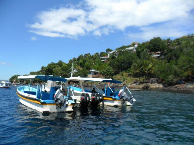 #ZOOMALOR tweet media