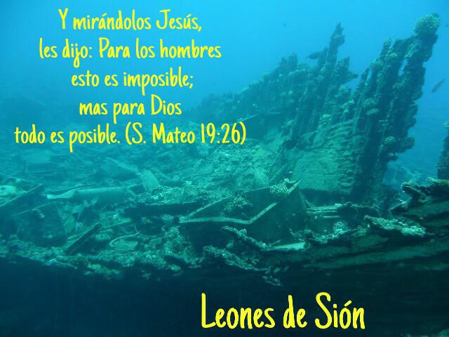 leonesdesion tweet picture