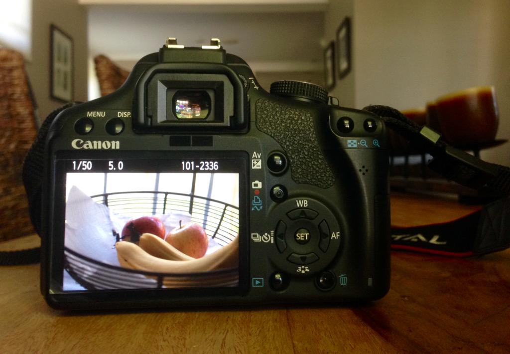 balletbunc99's tweet photo. Feeling arty !! 📷 http://t.co/c6sP63LEAl