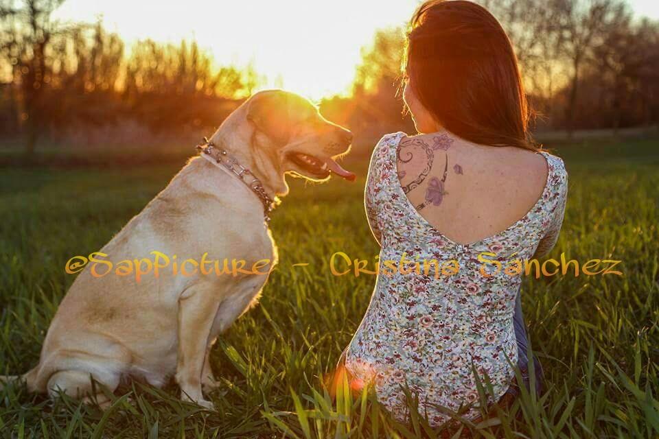 SapPicture's tweet photo. #CastillaLaMancha goza de una #PuestaDeSol preciosa,no es cierto? #perro #dog #fotografia #paisaje #sol #sunset #love http://t.co/pbe3hzCHCW