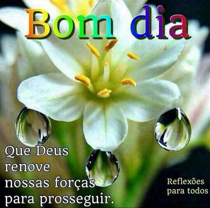 Rosana Silva#Beta (@rosanas18199878) on Twitter photo 