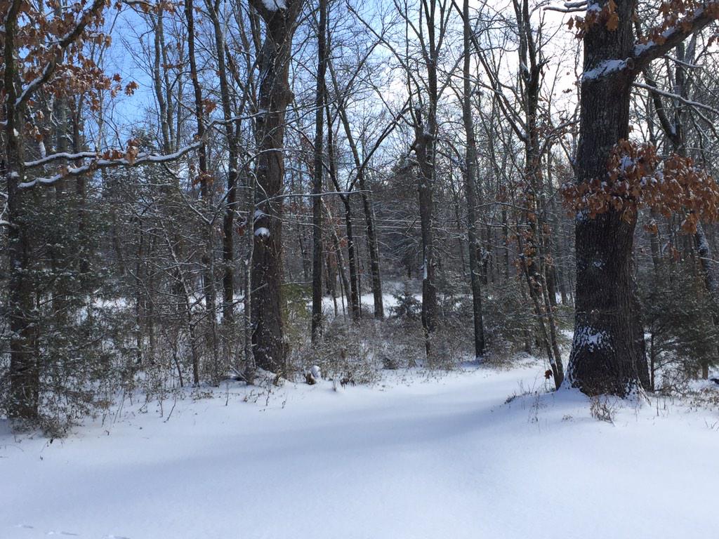 TiffanyReel's tweet photo. Our snow! #cold #snow http://t.co/gu2Eald0oG