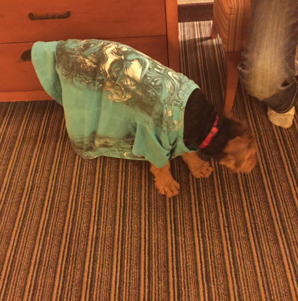TiffanyReel's tweet photo. Crazy Monday Night with a Crazy Puppy! http://t.co/218dEJdf67