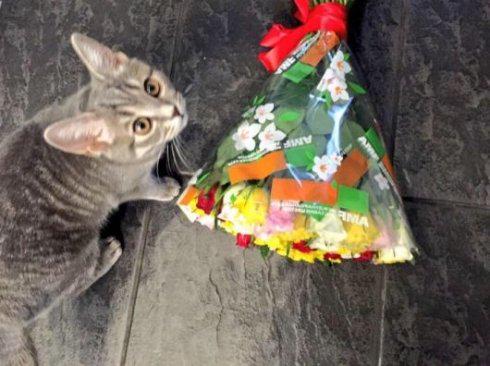 Защита Савченко просит приобщить к делу новые доказательства невиновности украинской летчицы - Цензор.НЕТ 5352