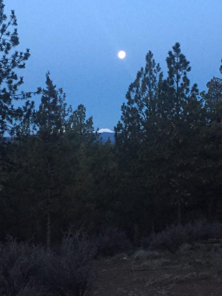 Early dog walk. Best start to a day of Musing. #breathe #bendoregon #ilovebend #museconf #mtbachelor #fullmoon #muse