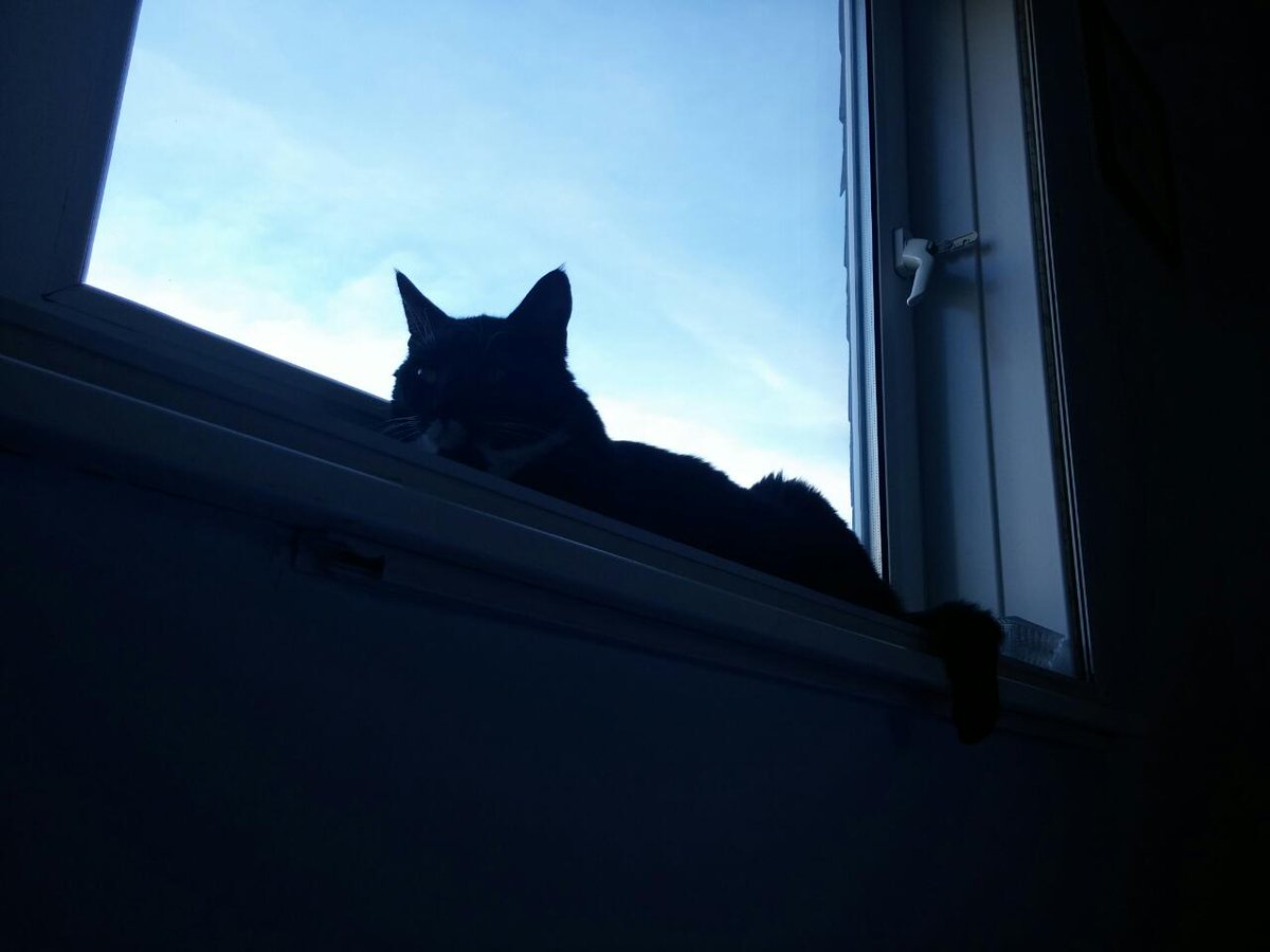 #westonsupermare was bustling today, whatever your perspective! Great to be back for a few weeks! <a href="/WestonSeafront/">Weston Seafront</a>