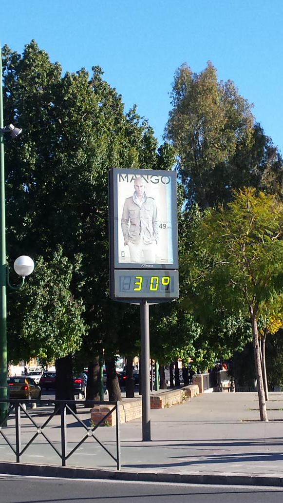 Arancha_SanzA's tweet photo. Esto es morir d calor y lo demas son tonterias @_anariesgo @irenegonzalez43 @Gelaa7 #Sevilla http://t.co/Gzi7fjCjk0