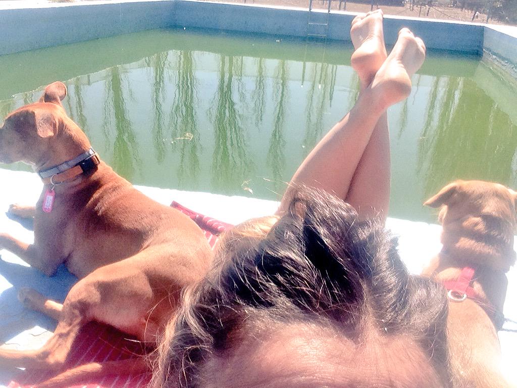 adellla's tweet photo. Para nosotros se acabó el invierno http://t.co/VpUJa5zccv