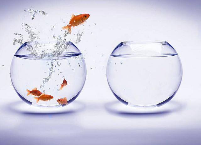 fj_huertas's tweet photo. Que podemos aprender de #innovacion y #creatividad?? #CmiObsReto2 http://t.co/e5WMSjjE7W