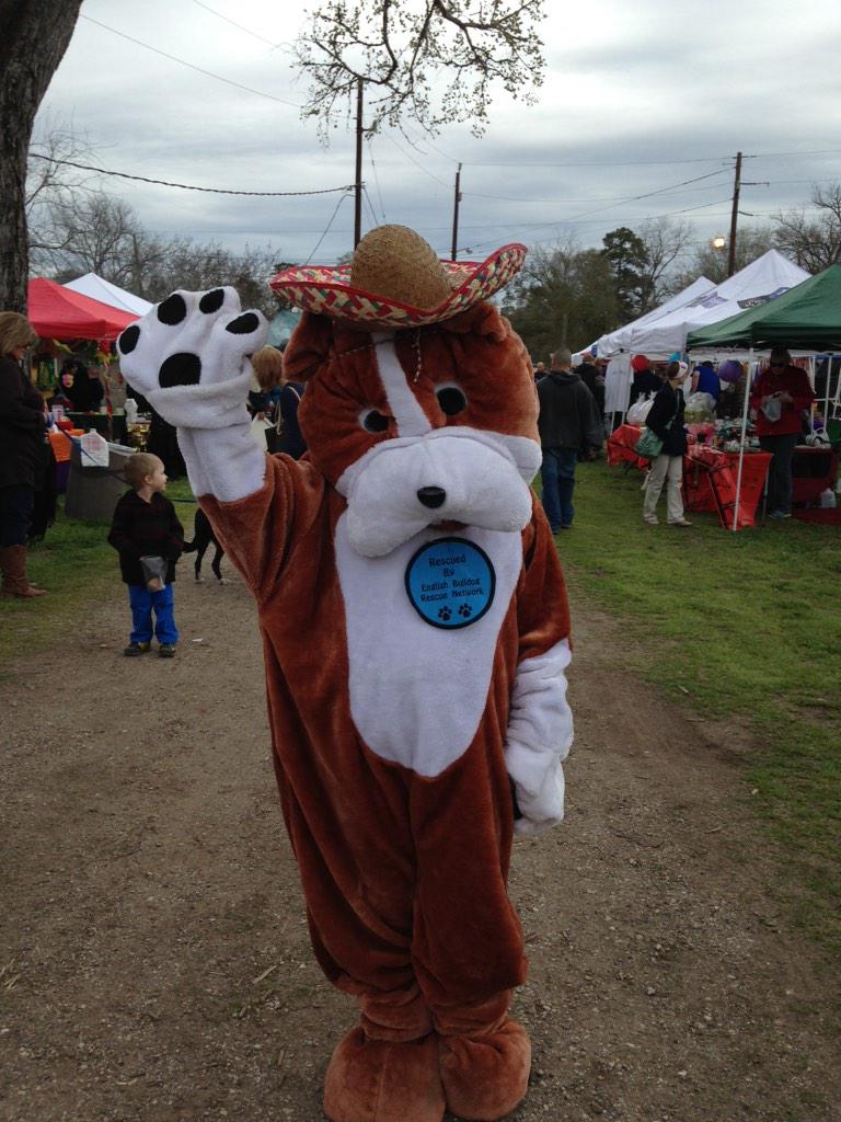 TXPawParty's tweet photo. Come see us at #TexasPawParty in Old Town Spring!!! http://t.co/HGGurbx3NI