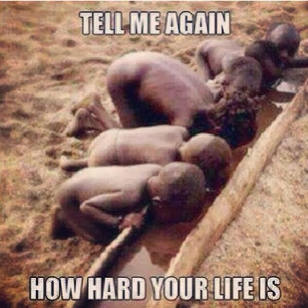 significantchar's tweet image. 